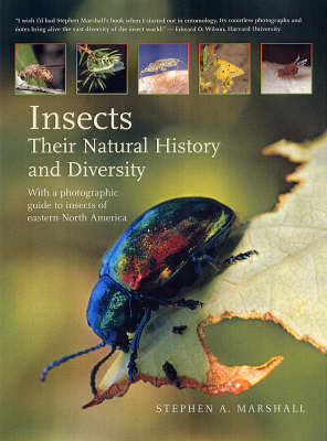 Insects: Their Natural History and Diversity