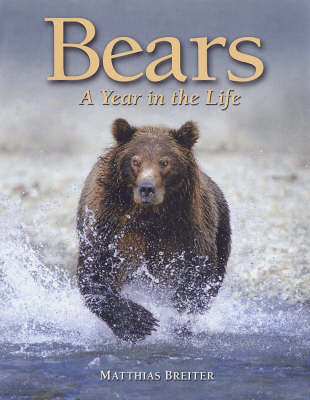 Bears