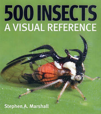 500 Insects
