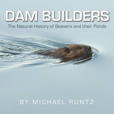 Dam Builders