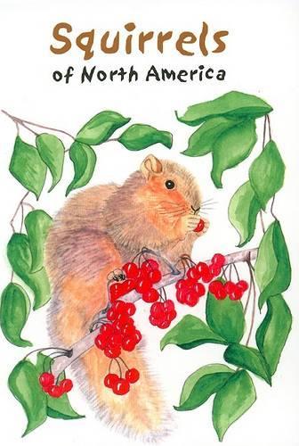 Squirrels of North America