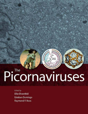The Picornaviruses