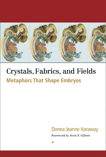 Crystals, Fabrics, and Fields