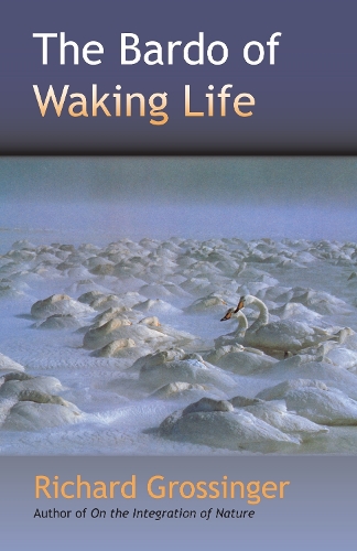 The Bardo Of Waking Life