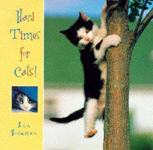 Hard Times for Cats