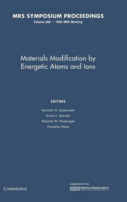 Materials Modification by Energetic Atoms and Ions