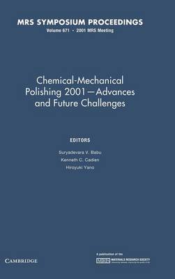 Chemical-Mechanical Polishing 2001 - Advances and Future Challenges: Volume 671