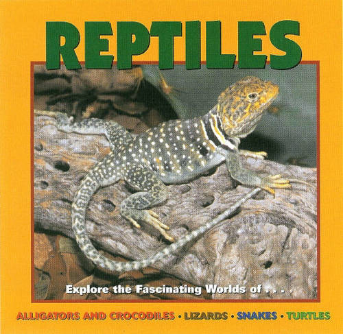 Reptiles