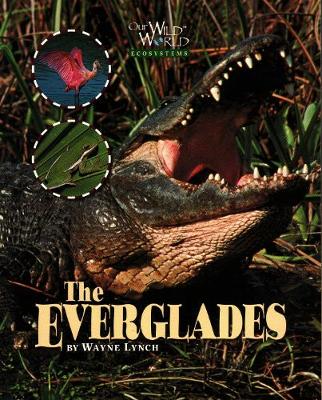 Everglades