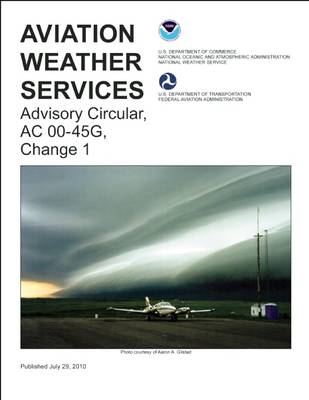 Aviation Weather Services