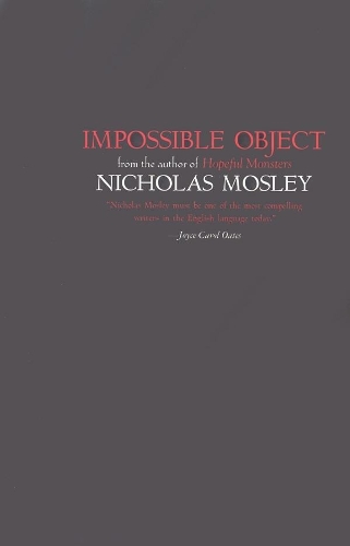 Impossible Object