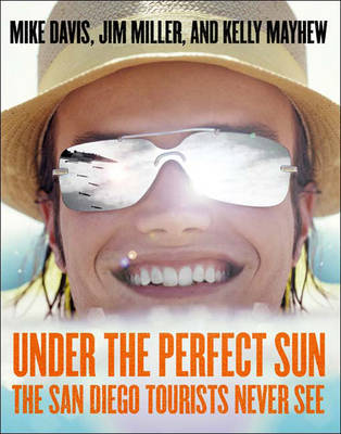 Under the Perfect Sun