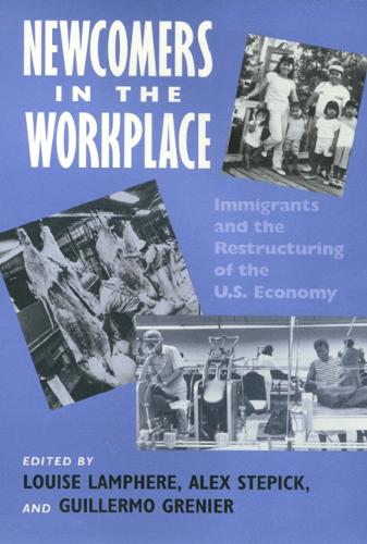 Newcomers in Workplace