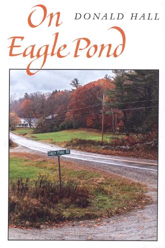 On Eagle Pond