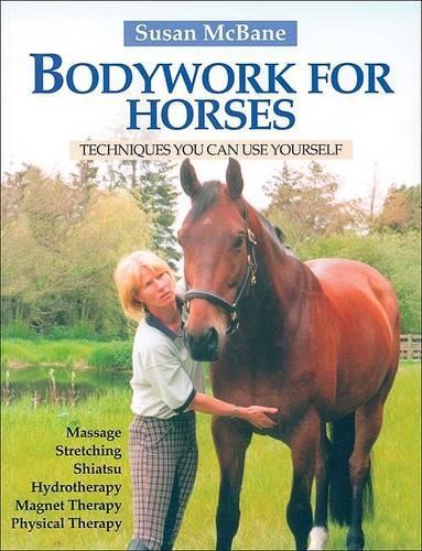Bodywork for Horses