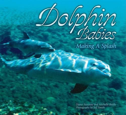 Dolphin Babies