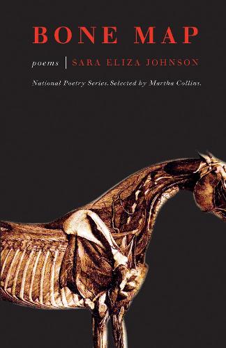 Bone Map