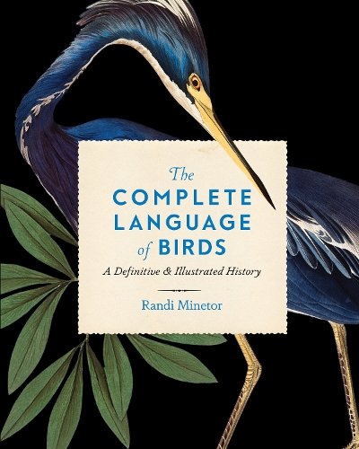 The Complete Language of Birds Volume 13