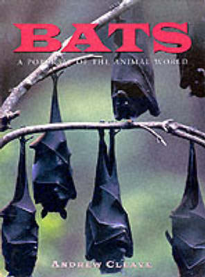 Bats