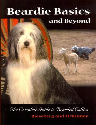 Beardie Basics and Beyond