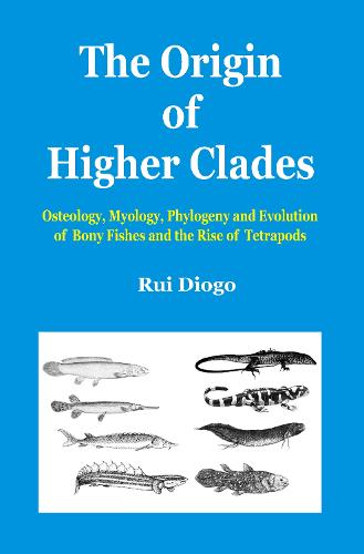 The Origin of Higher Clades