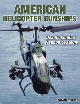 American Helicopter Gunships