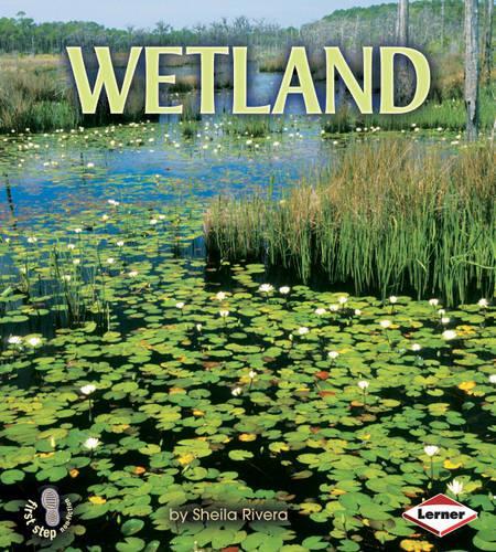 Wetland