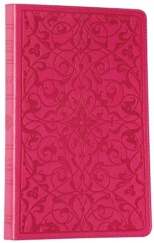 Holy Bible