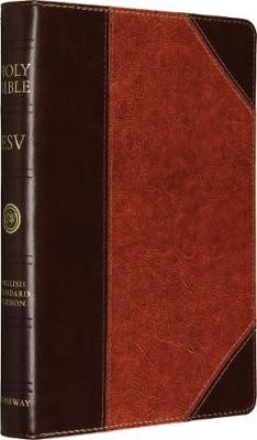 Holy Bible