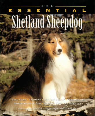 The Essential Shetland Sheepdog