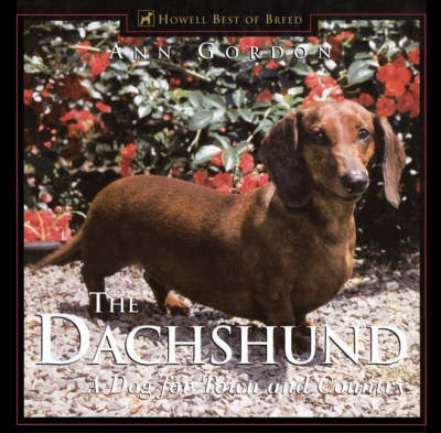 The Dachshund, The