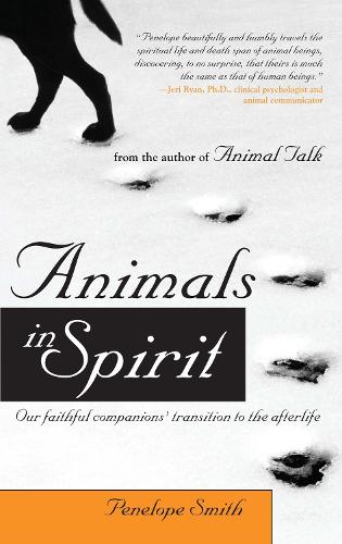 Animals in Spirit Volume 1