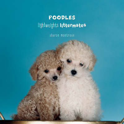 Poodles (Lightweights Littermates)