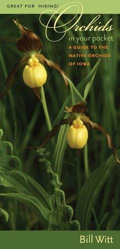Orchids in Your Pocket