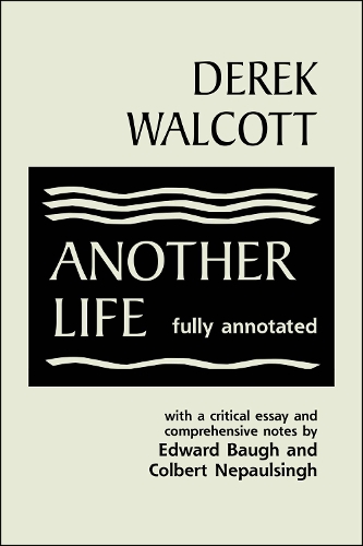 Another Life