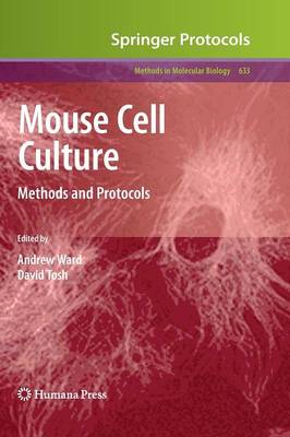 Mouse Cell Culture