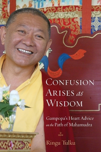 Confusion Arises as Wisdom