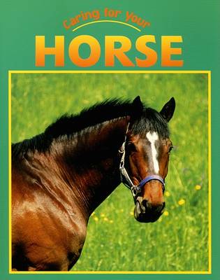 Caring for Your Horse