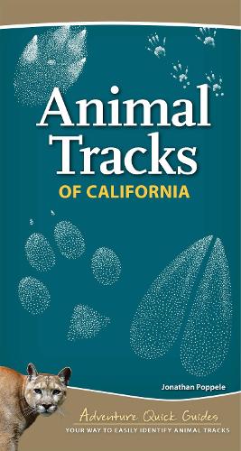Animal Tracks of California