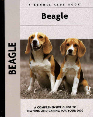 Beagle