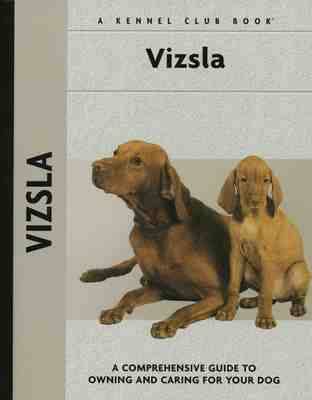Vizsla