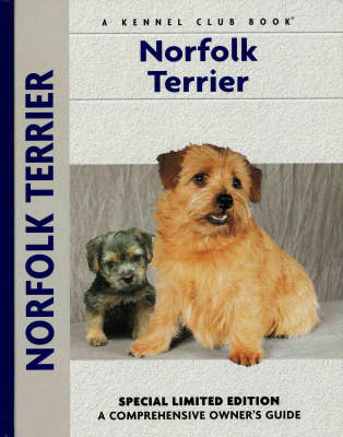 Norfolk Terrier