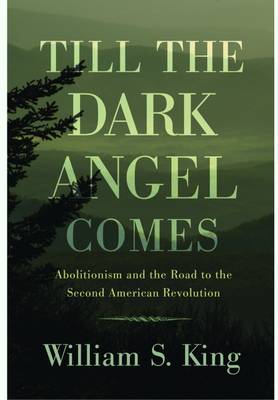 Till the Dark Angel Comes