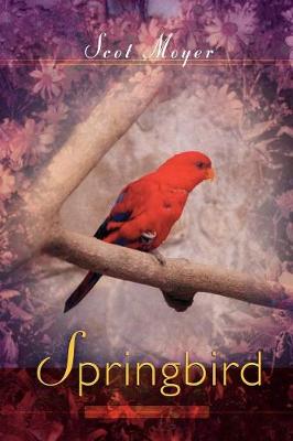 Springbird