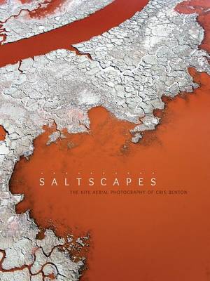 Saltscapes