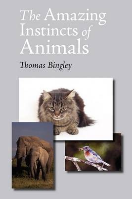 The Amazing Instincts of Animals