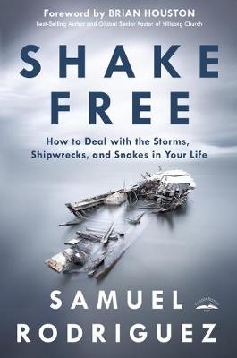 Shake Free: How to Deal with Storms, Shipwrecks and Snakes in your Life