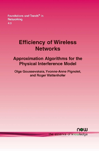 Efficiency of Wireless Networks