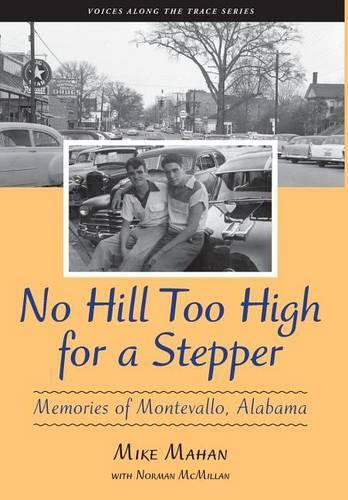 No Hill Too High for a Stepper