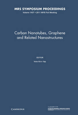 Carbon Nanotubes, Graphene and Related Nanostructures